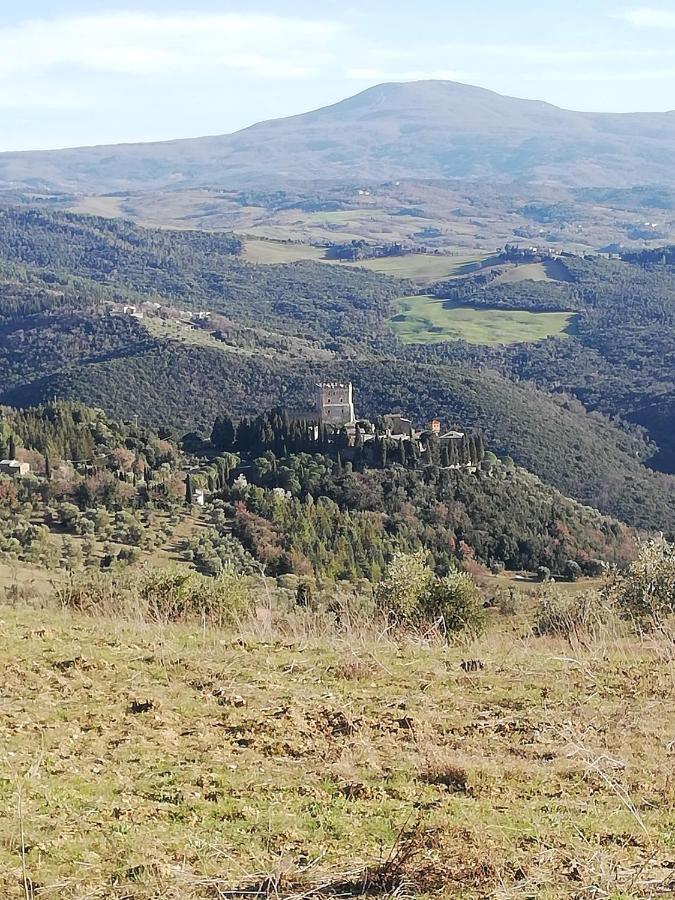 Goccia In Valdorcia Smart Home San Quirico d'Orcia Bagian luar foto