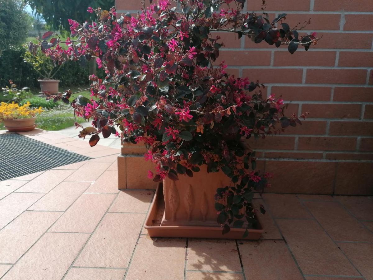 Goccia In Valdorcia Smart Home San Quirico d'Orcia Bagian luar foto